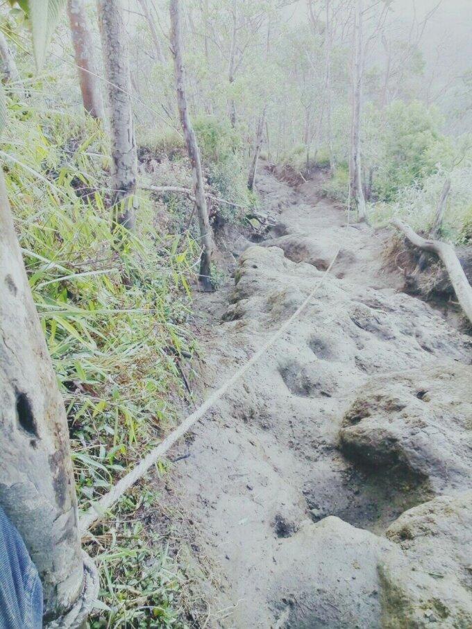 &#91;Catper&#93; GUNUNG MERBABU, via Suwanting, Magelang 3145mdpl