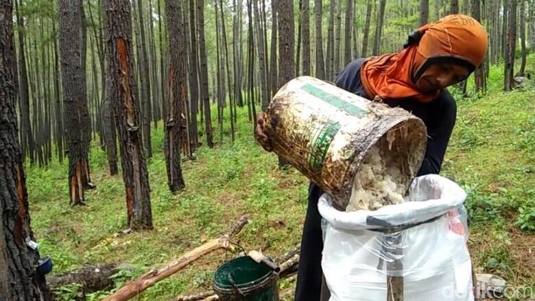 Terungkap! Sejarah Prabowo Kuasai Lahan 120 Ribu Hektare di Aceh