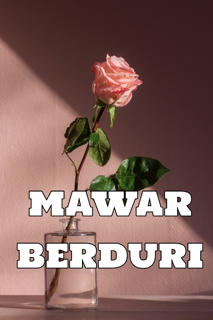 Mawar Berduri Kaskus