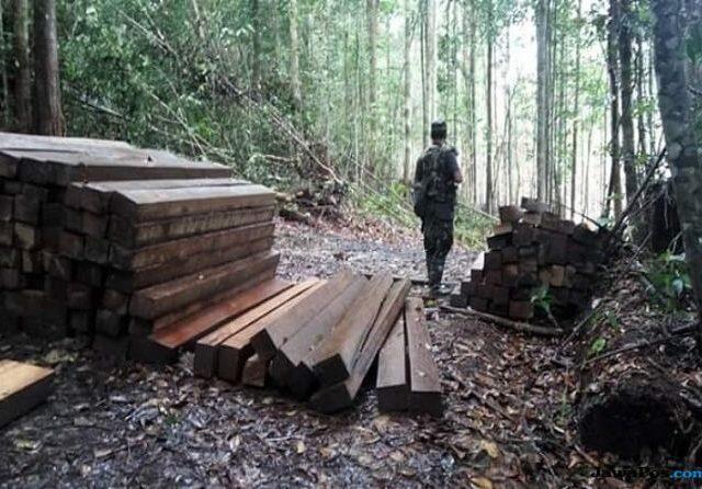 Dirambah Warga, Lahan Prabowo di Aceh Banyak Terjadi Aktivitas Ilegal