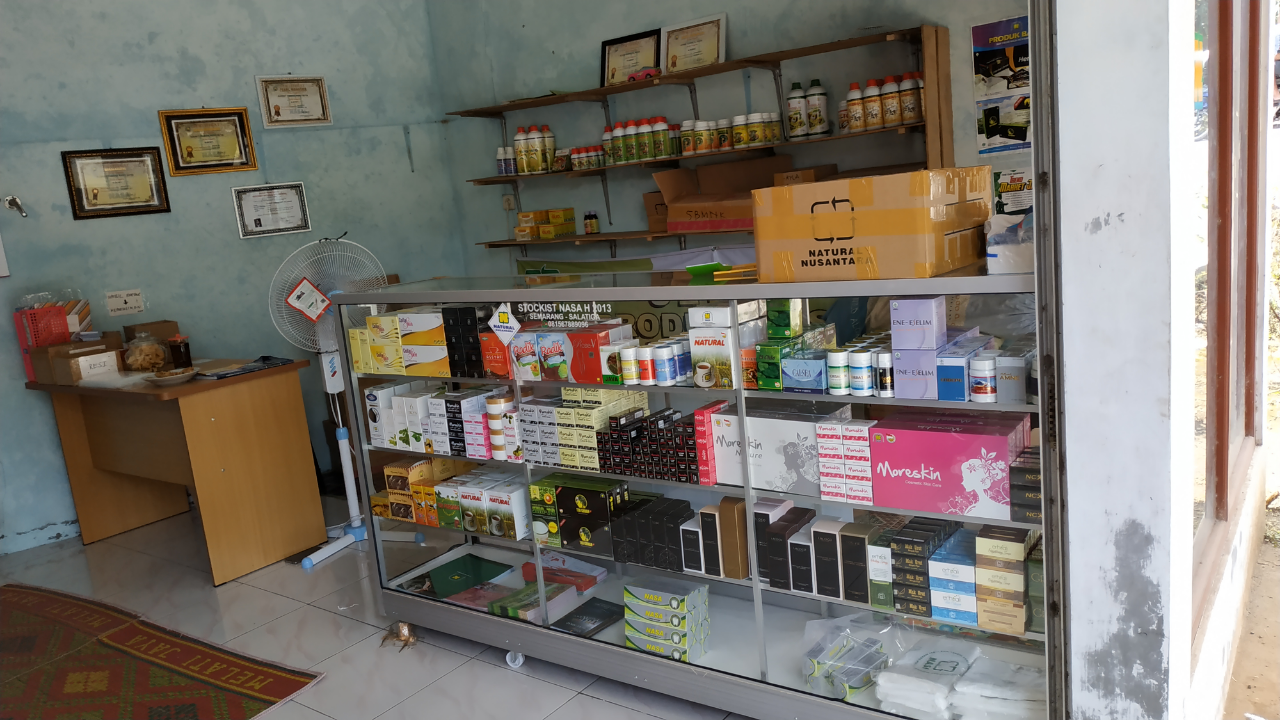 Peluang Bisnis NASA, Modal Minim Hasil Maxi