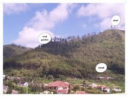kaskus-image