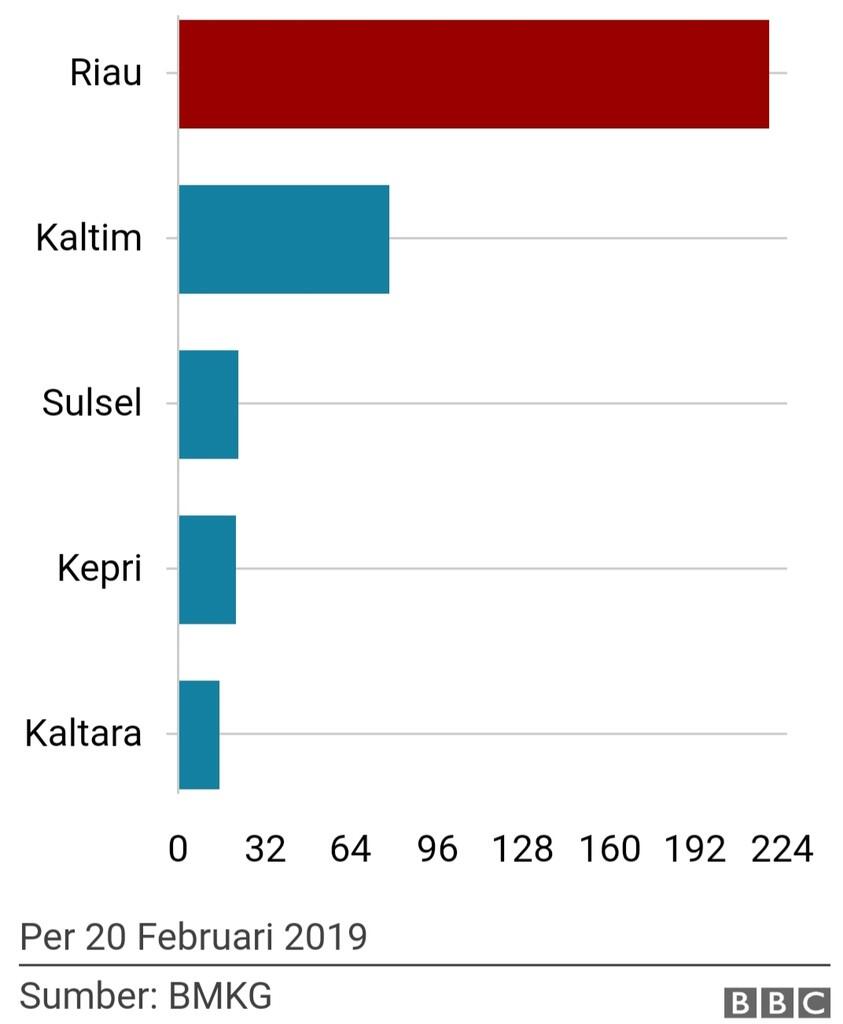 'Ratusan hektare' hutan dan lahan di Riau dilanda kebakaran, warga merasa 'sesak'