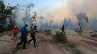 'Ratusan hektare' hutan dan lahan di Riau dilanda kebakaran, warga merasa 'sesak'