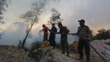 'Ratusan hektare' hutan dan lahan di Riau dilanda kebakaran, warga merasa 'sesak'