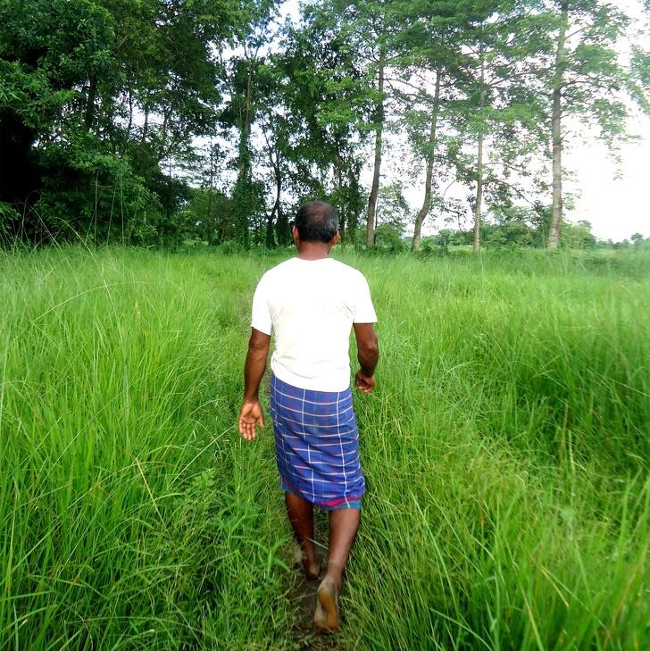 Seorang Pria India Habiskan 40 Tahun Untuk Mengubah Gurun Menjadi Hutan Besar