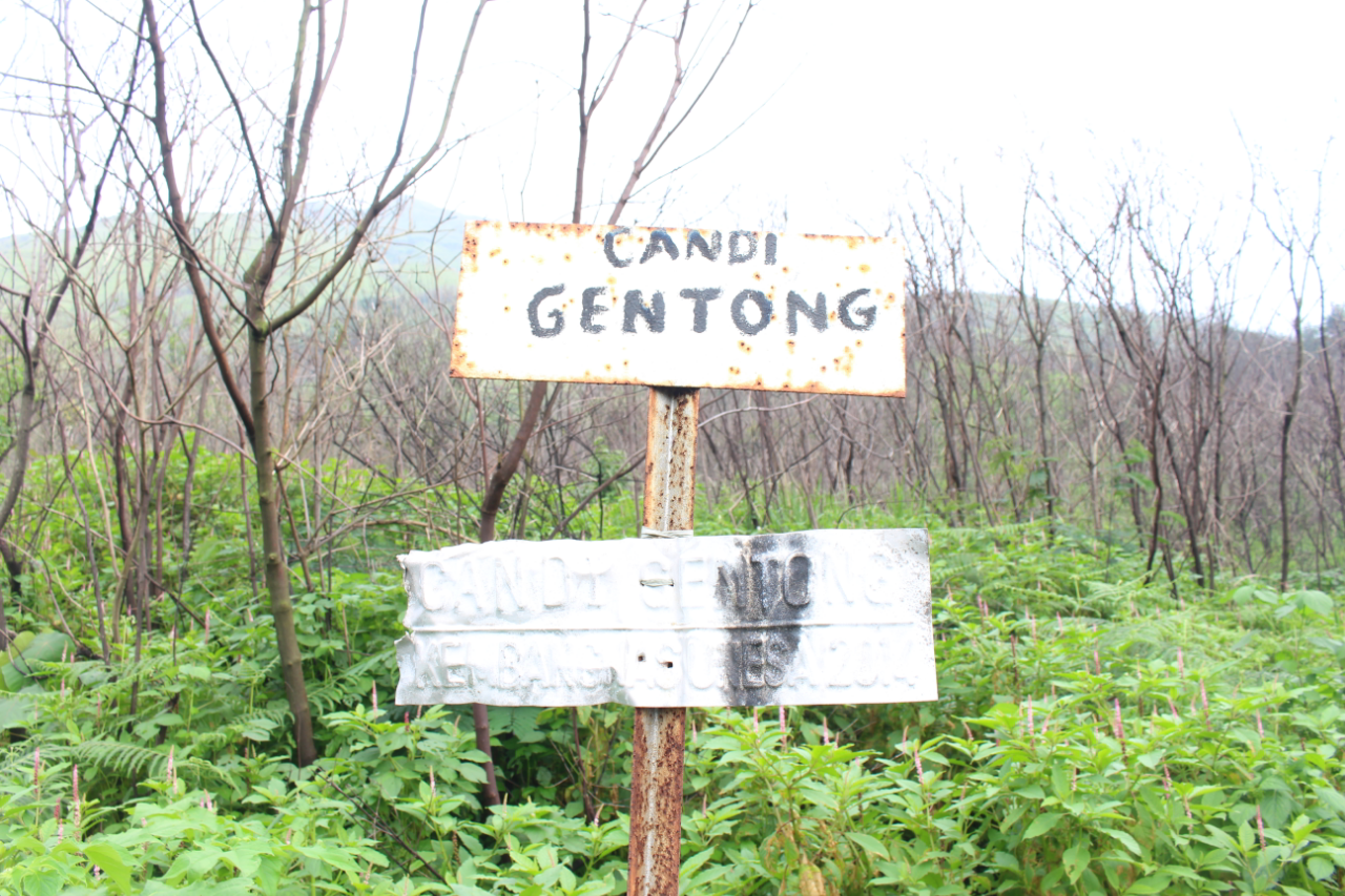 Jelajah Candi Di Gunung Penanggungan