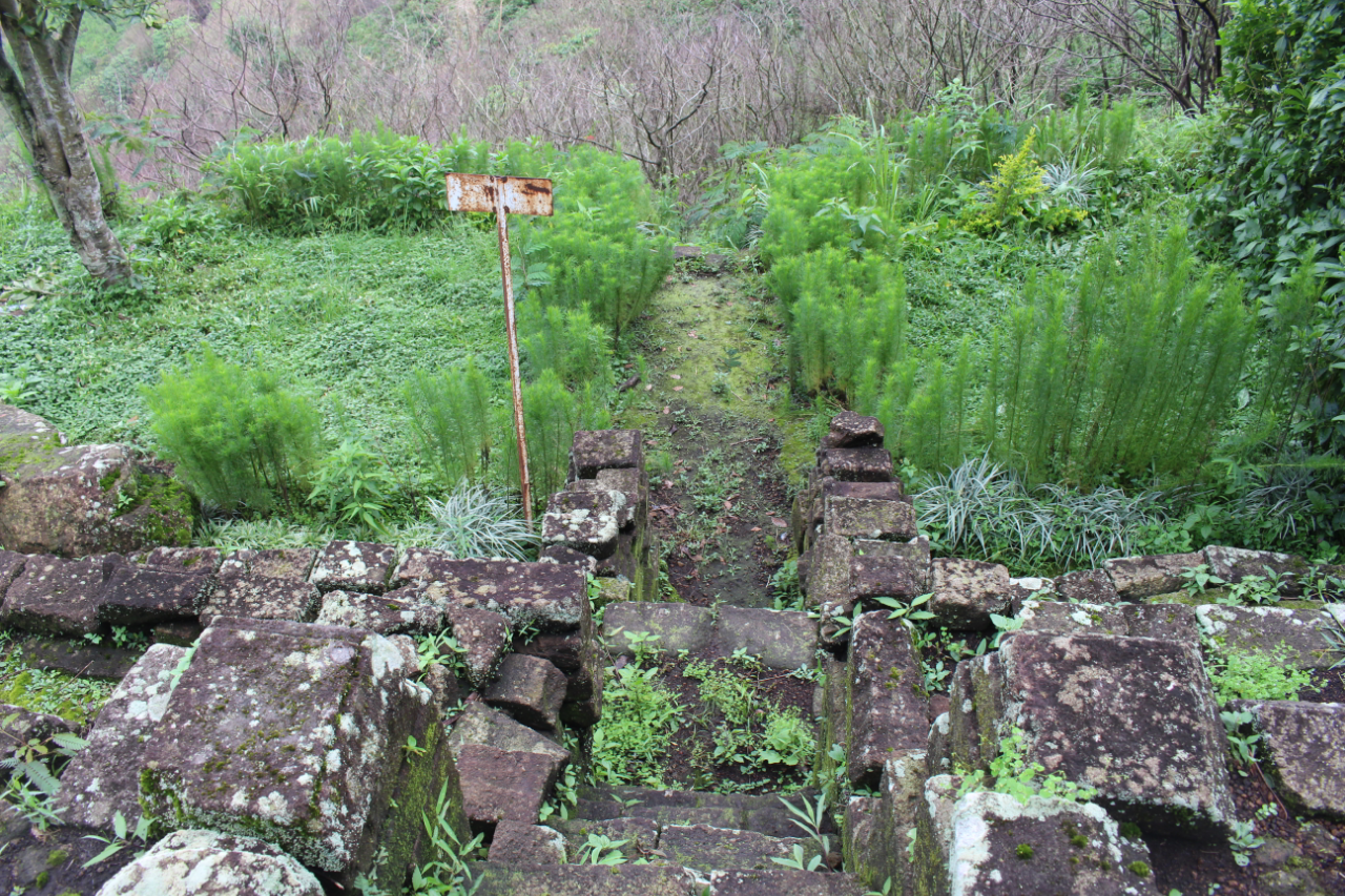 Jelajah Candi Di Gunung Penanggungan