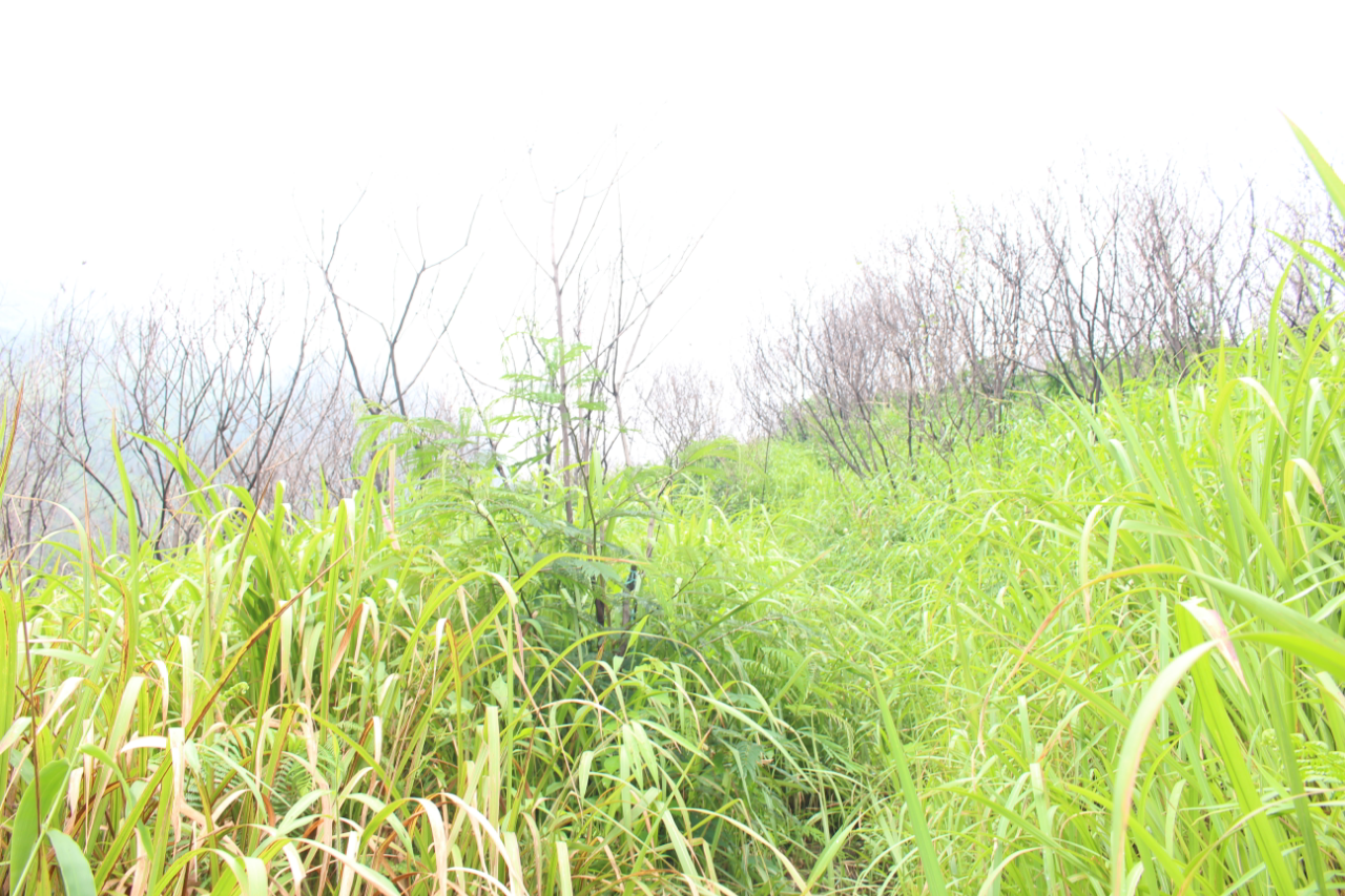 Jelajah Candi Di Gunung Penanggungan