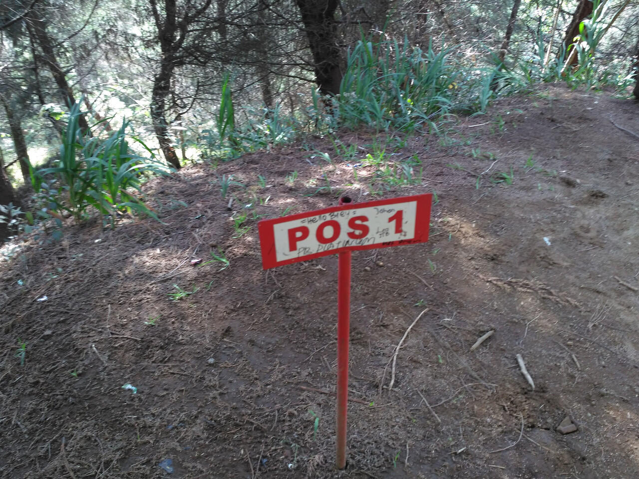 Perjalanan Menggapai Puncak Gunung Prau