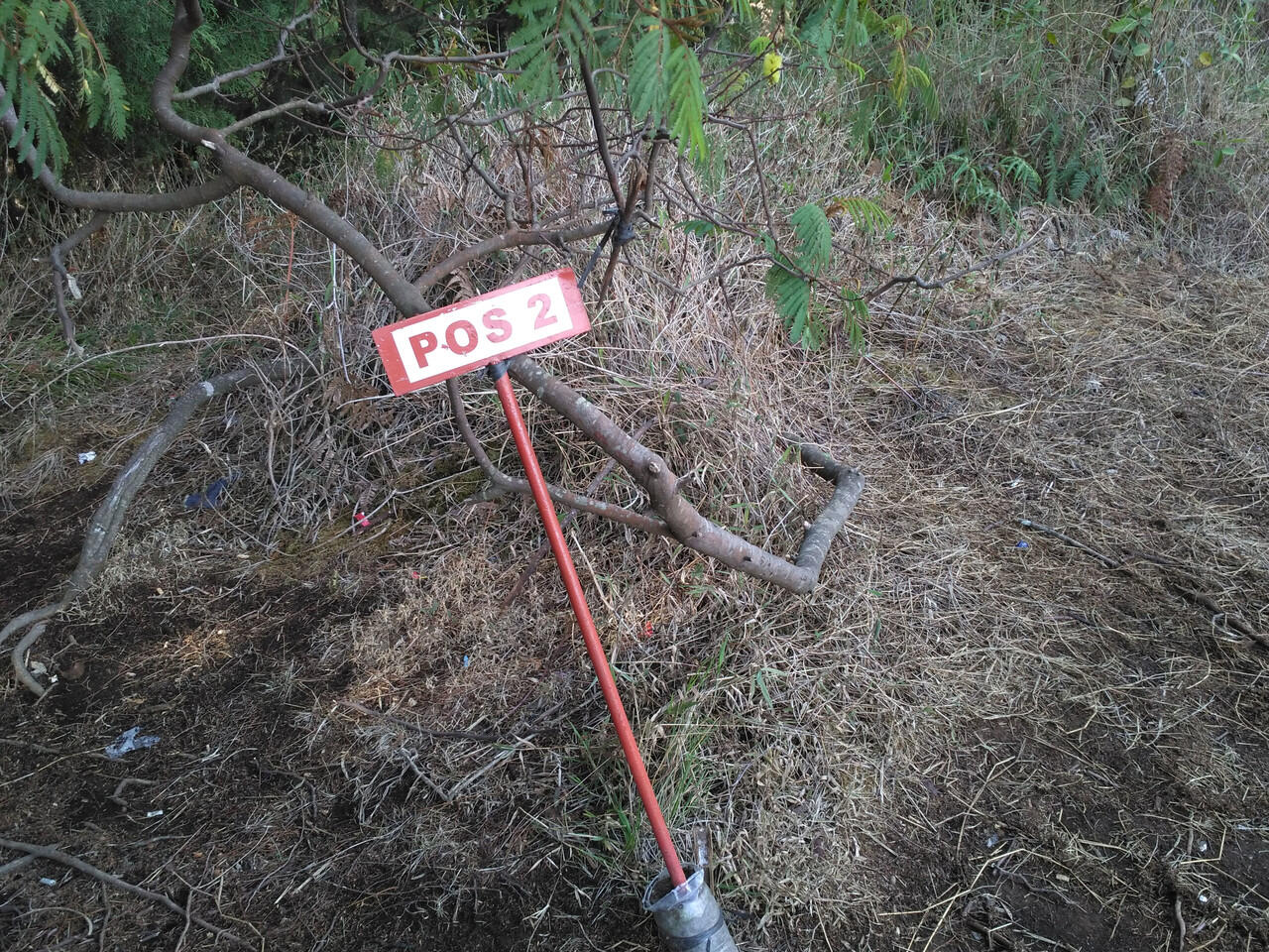 Perjalanan Menggapai Puncak Gunung Prau