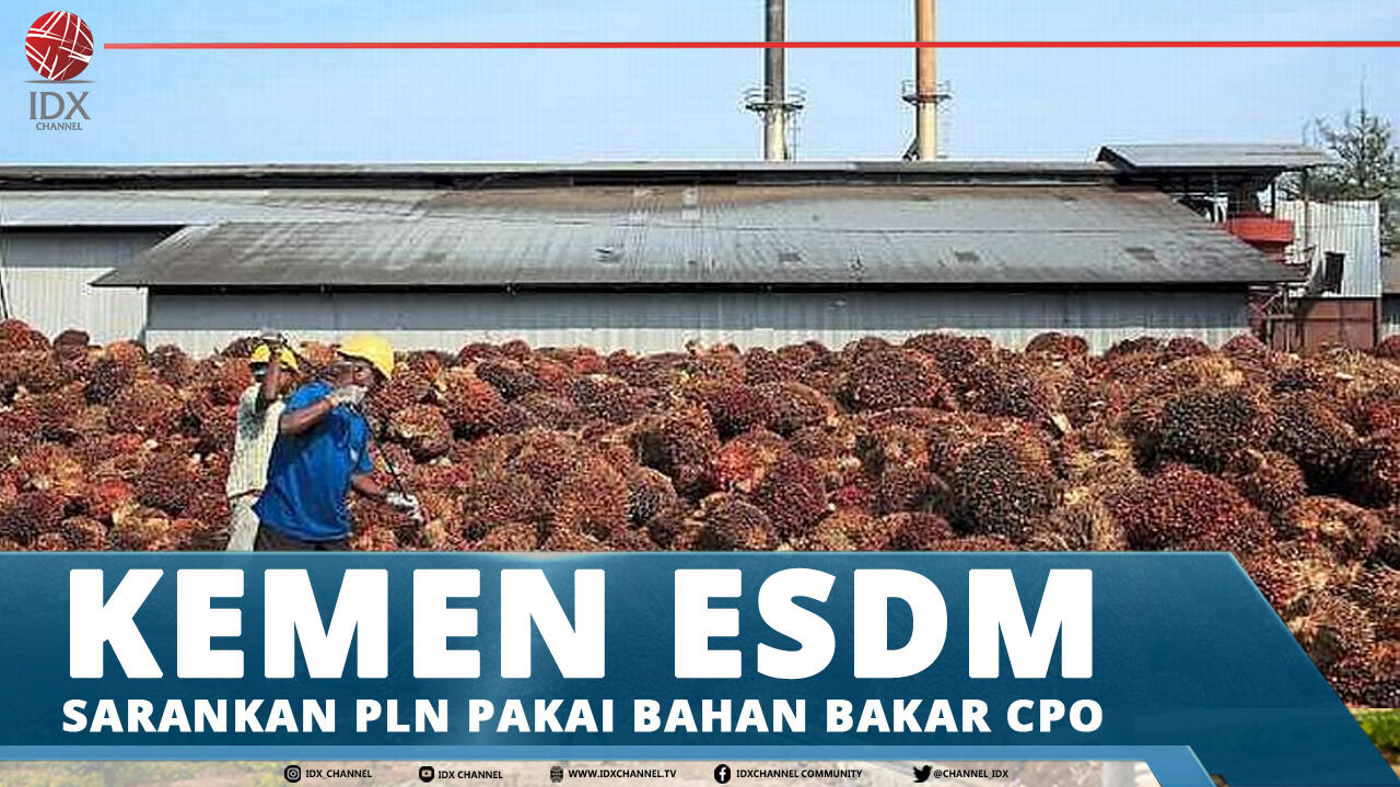 KEMEN ESDM SARANKAN PLN PAKAI BAHAN BAKAR CPO