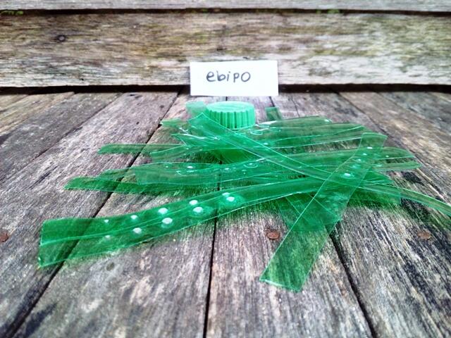 DIY: Glowing Grass (Sampah Botol Plastik Gan)
