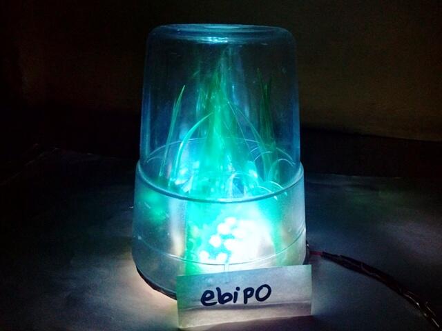 DIY: Glowing Grass (Sampah Botol Plastik Gan)