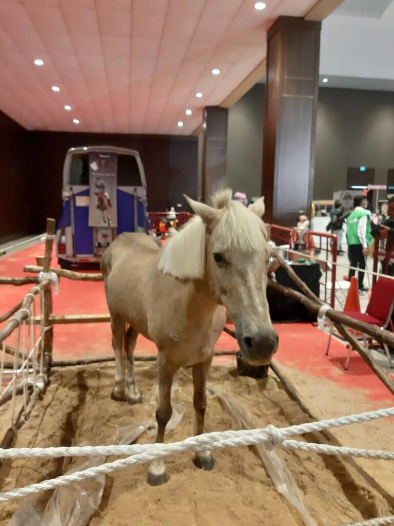 Jalan-Jalan ke Jakarta Indonesia Pet Show, Hadiah Tiket Gratis Dari Forum Sista Gan !
