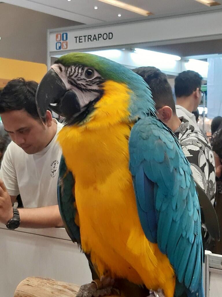 Jalan-Jalan ke Jakarta Indonesia Pet Show, Hadiah Tiket Gratis Dari Forum Sista Gan !