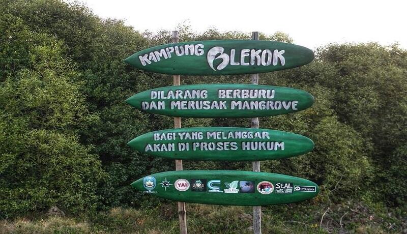 Indahnya Wisata Alam Kampung Blekok di Situbondo