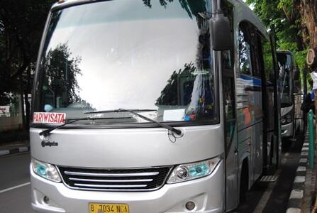 &#91;COC&#93; Royal Platinum, Bus Mewah dengan Harga Lumayan Murah