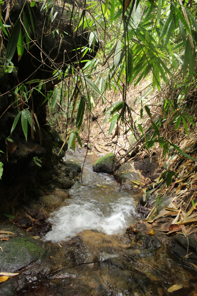 Susur Sungai, Menjelajah Sungai Demi Mencari Sebuah Air Terjun