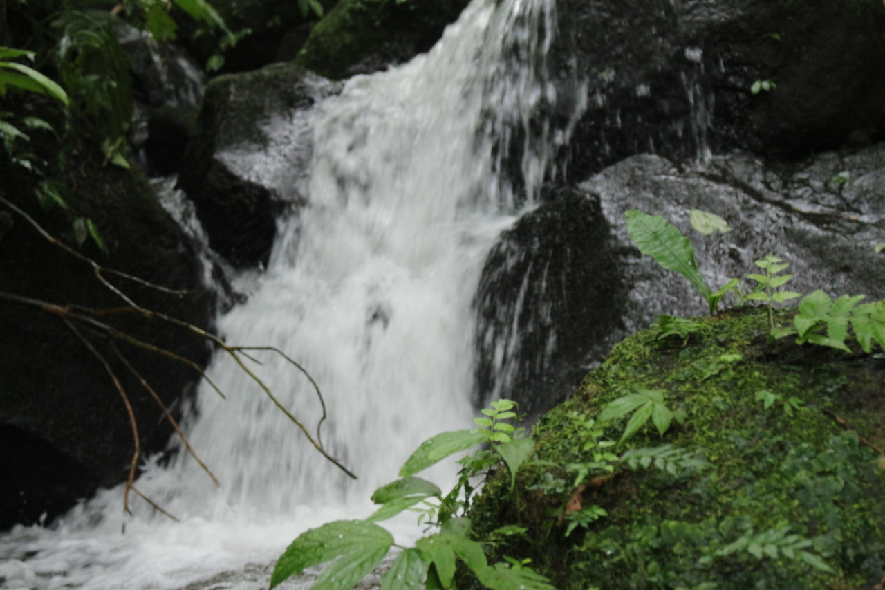 Susur Sungai, Menjelajah Sungai Demi Mencari Sebuah Air Terjun