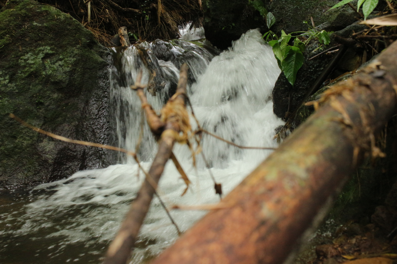 Susur Sungai, Menjelajah Sungai Demi Mencari Sebuah Air Terjun