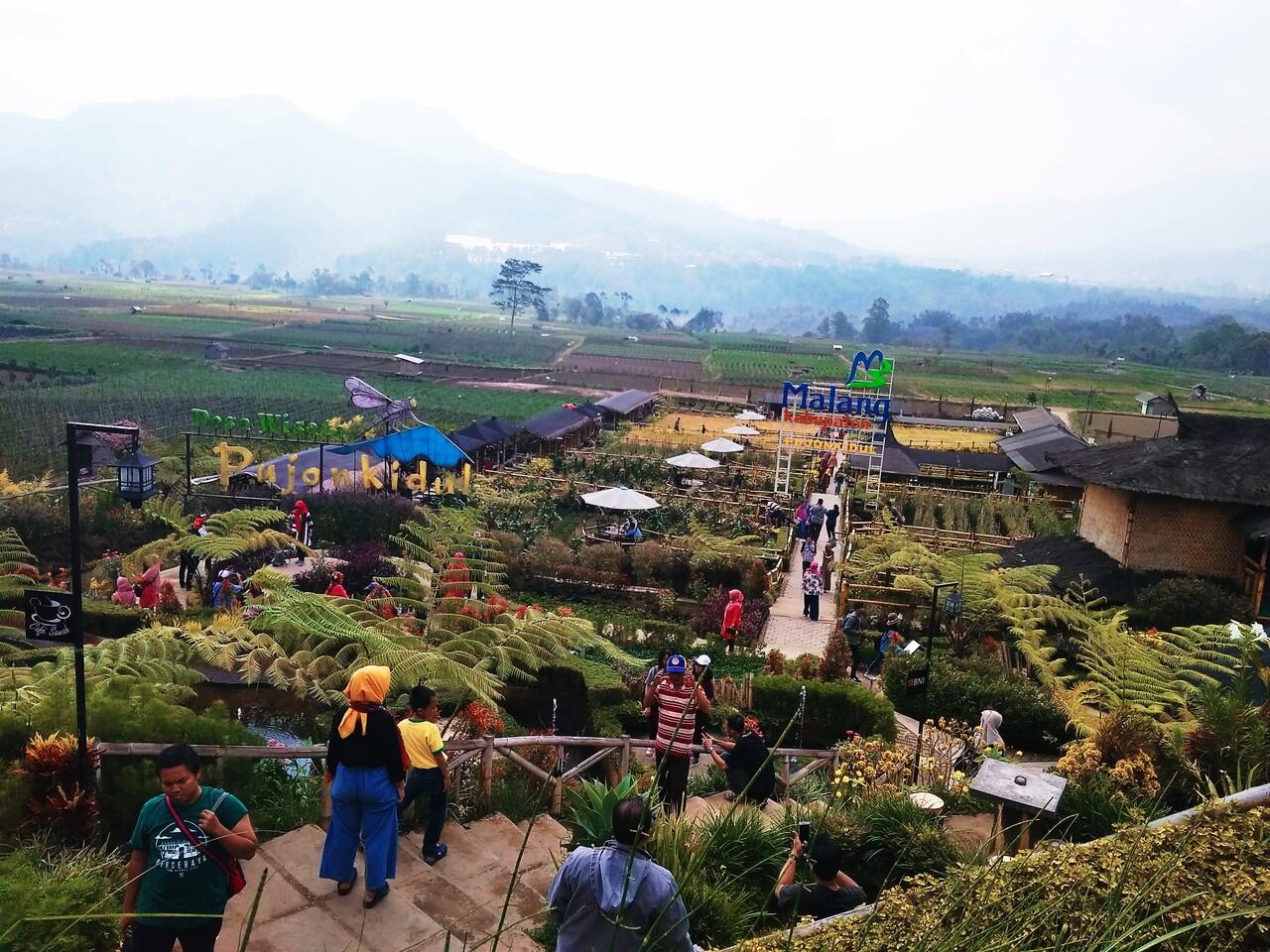 Mengenal Kafe Sawah Dari Sejarah Desanya