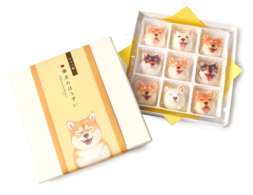 Terlalu Gemes, Marshmallow Shiba Inu Ini Bikin Nggak Tega Makannya