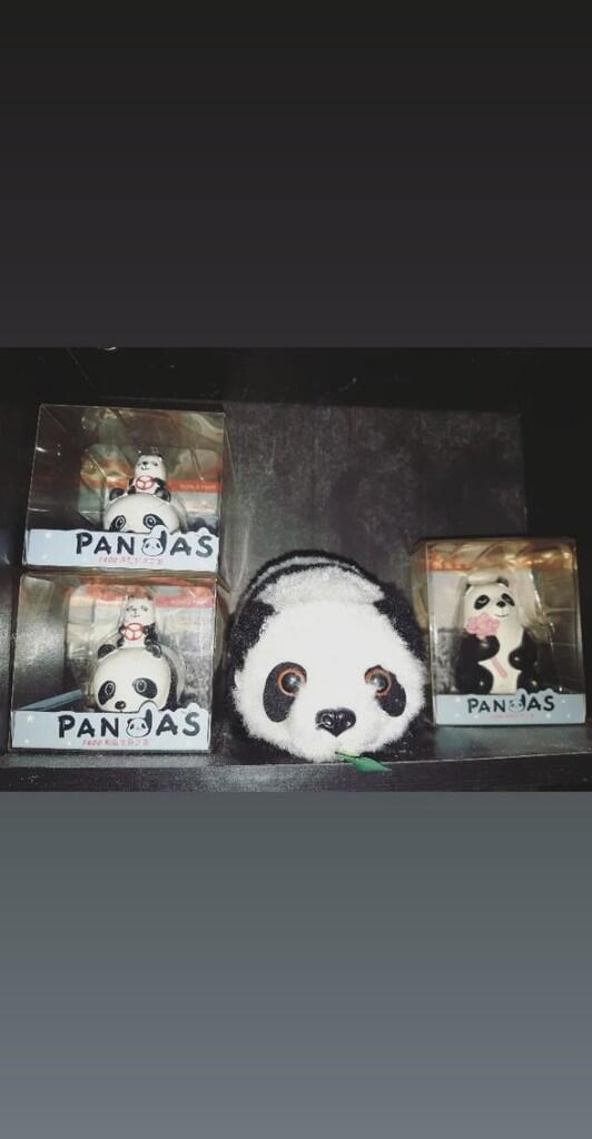 Panda Si Hewan Buas Yang Menggemaskan