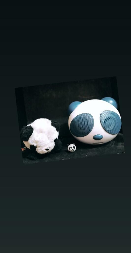 Panda Si Hewan Buas Yang Menggemaskan