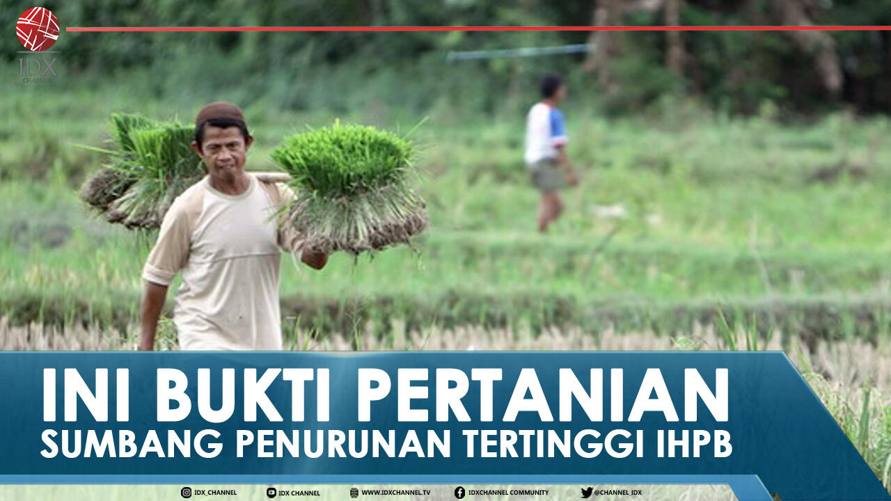 INI BUKTI PERTANIAN SUMBANG PENURUNAN TERTINGGI IHPB