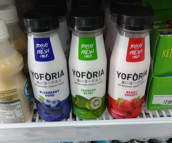 Mencicipi Yoforia Yogurt, Ini Review dari Ane Gan! 