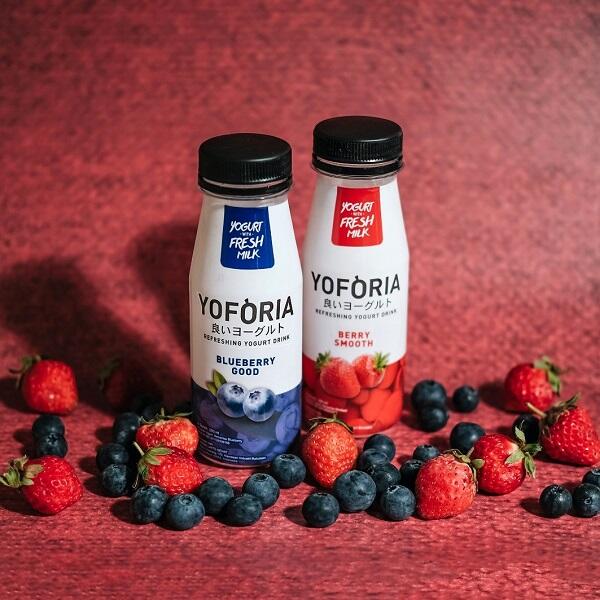 Mencicipi Yoforia Yogurt, Ini Review dari Ane Gan! 