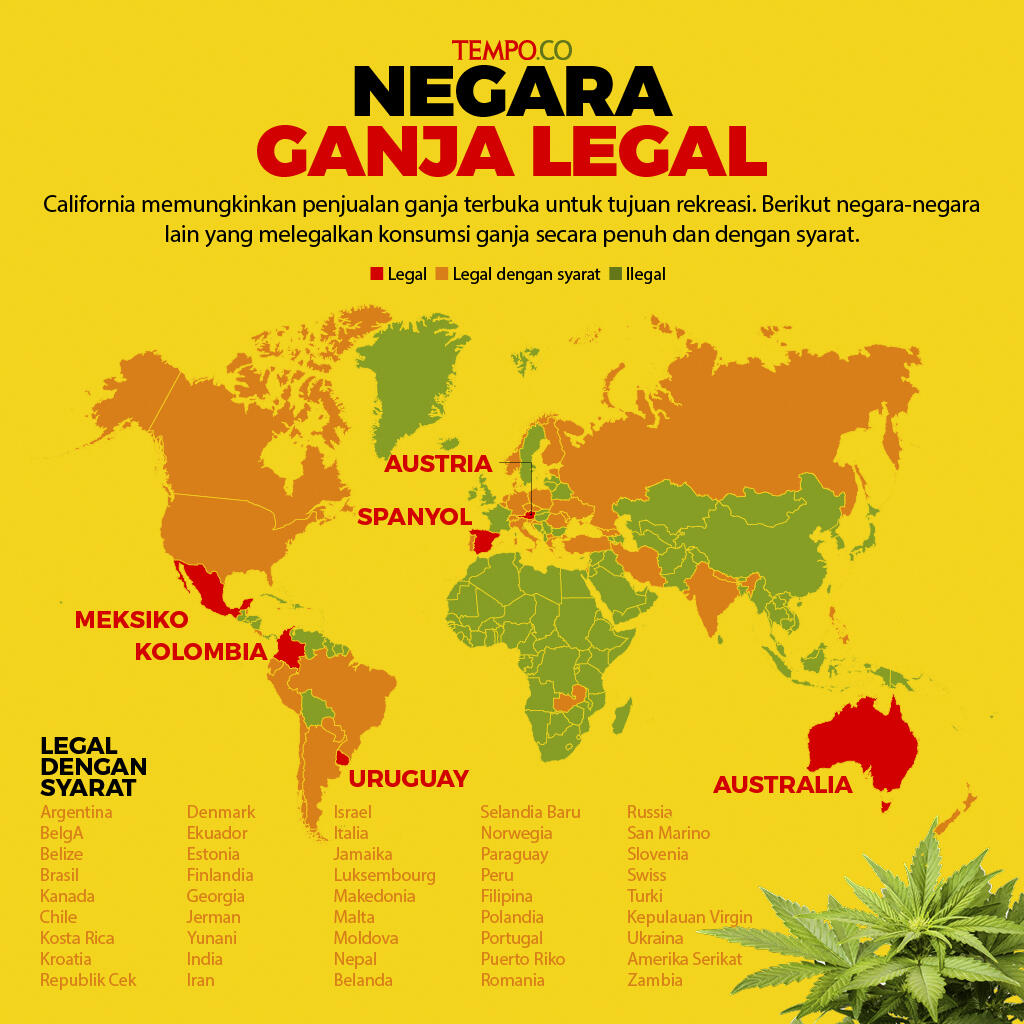 Ganja Bisakah LEGAL !!