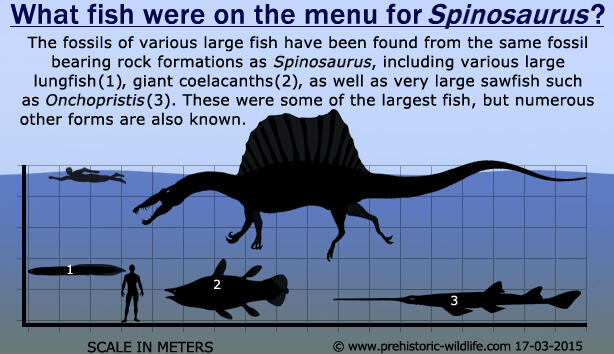 Perjalanan Penemuan Dino Setengah Buaya, Spinosaurus