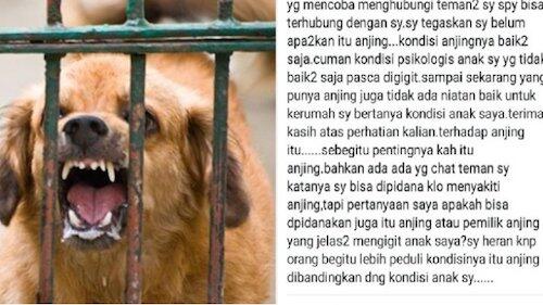 MIRIS, BAYI Umur 4 Tahun DIGIGIT Anjing Sampai KEHILANGAN TANGANNYA