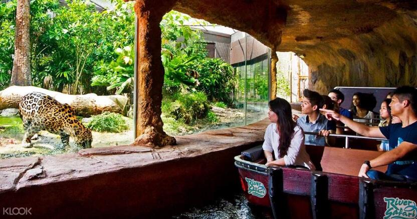 "Saatnya Impian Jadi Nyata" : Ketemu Panda Di River Safari Singapura
