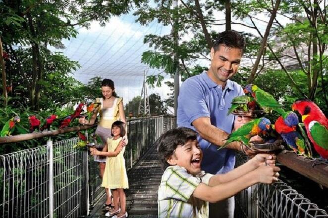 "Saatnya Impian Menjadi Nyata" : 3 Tempat Wisata Seru Buat Anak-Anak Di Singapura!