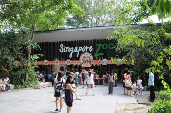 "Saatnya Impian Jadi Nyata" Liburan Di Singapura Khusus Animal Lovers