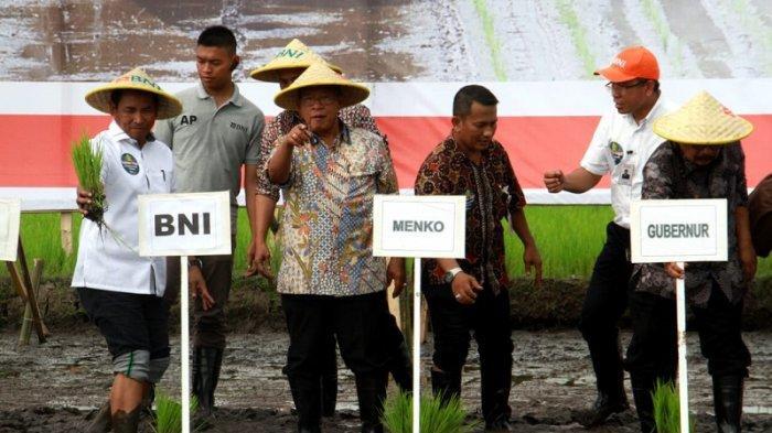 Pemprov dan Pemkab Papua Rebutan Saham Freeport, Darmin: Biar Aja Deh