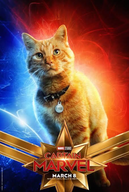 Pencarian Masa Lalu Carol Denvers ”Captain Marvel”