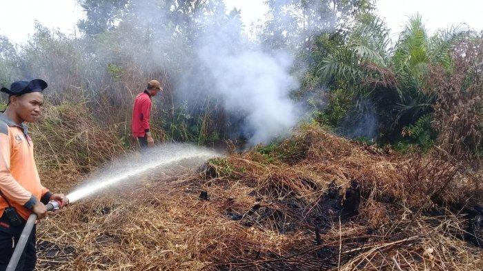 Ratusan Ha Kebun Sagu dan Karet Hangus Akibat Kebakaran di Kabupaten Meranti
