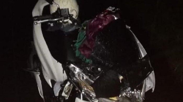 Dua Warga Sukoharjo Tertimpa Pohon saat Naik Motor di Tawangmangu, Satu Orang Tewas