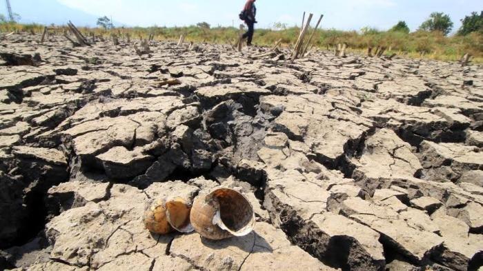 Mengenai Musim Kemarau, BMKG: Awal Musim Kemarau 2019 Mulai di Bulan April