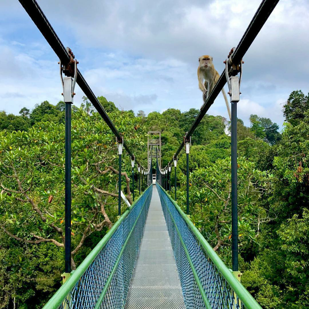 "Saatnya Impian Jadi Nyata": 4 Tempat di Singapore yang Menjadi Buruan Wisatawan