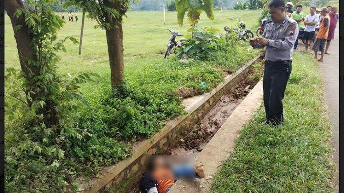 Hendak Memasang Bendera Partai, Seorang Buruh Tewas Terjatuh dari Pohon Usai Kesetrum