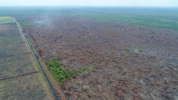 Terpantau Dua Hotspot di Atas 70 Persen di Kabupaten Pelalawan dan Indragiri Hilir