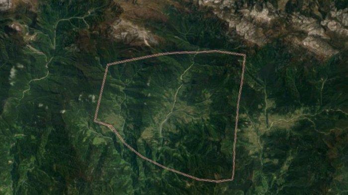 Kronologi Baku Tembak Antara TNI dengan Kelompok Kriminal Bersenjata di Papua