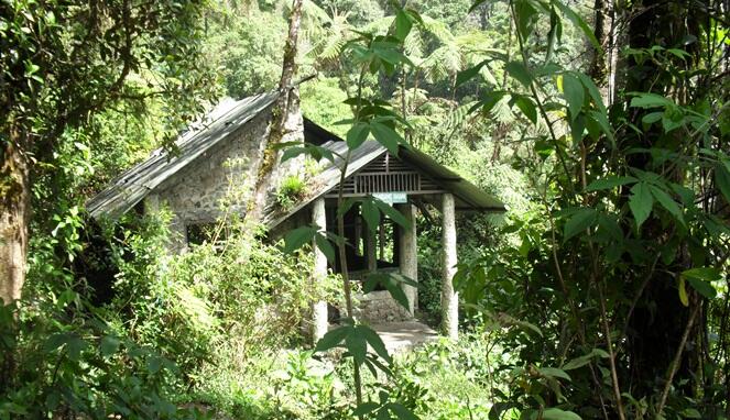 Macam - Macam Ritual Pesugihan Yang Ada Di Tanah Jawa