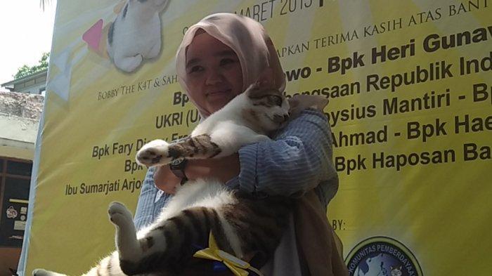 Bandi, Kucing Juara Lomba Mirip Bobby The K4T