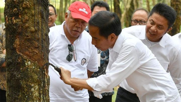 Jokowi: Ada yang Teriak Pasal 33 Tapi Punya Lahan 5 Kali Jakarta